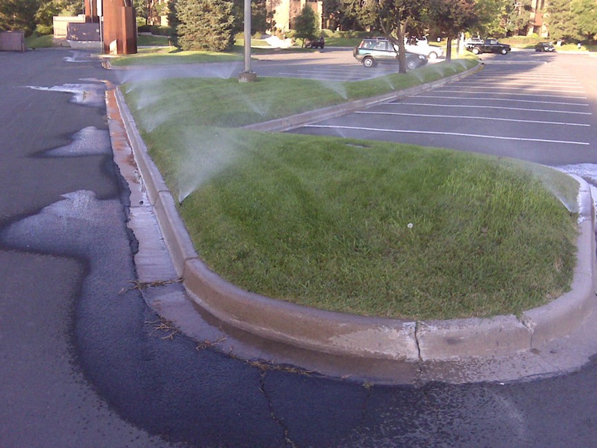 Is this the Beginning of the End for Lawns in the Arid West?